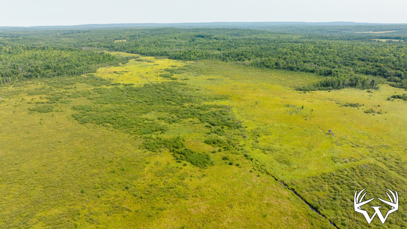 DJI_0534.jpg