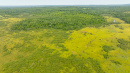 DJI_0536.jpg
