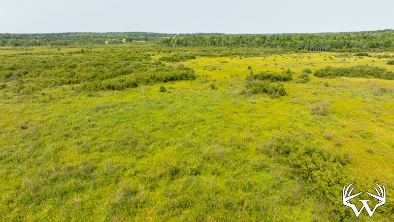 DJI_0538.jpg