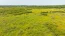 DJI_0538.jpg