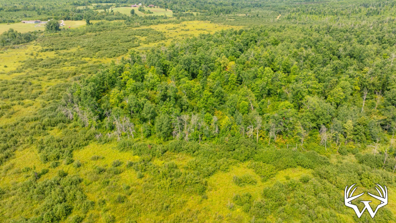 DJI_0541.jpg