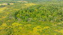 DJI_0541.jpg