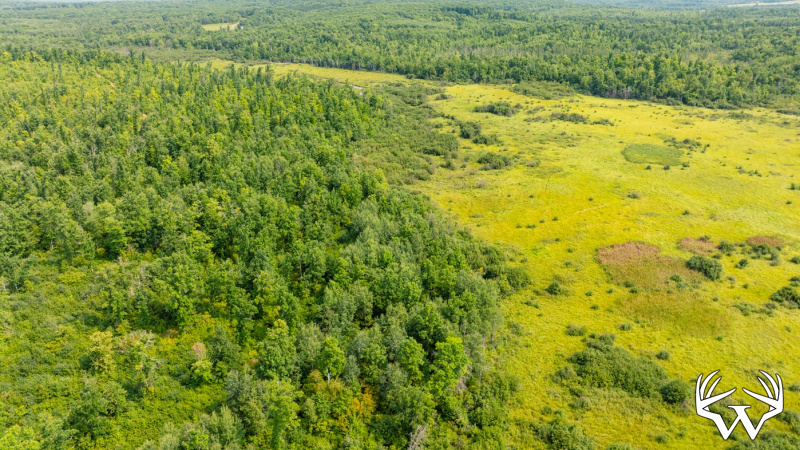 DJI_0542.jpg