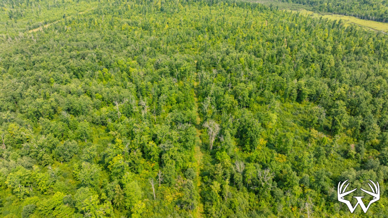DJI_0543.jpg