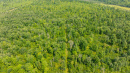 DJI_0543.jpg