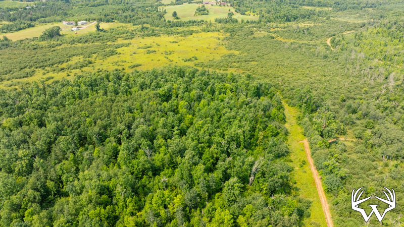 DJI_0544.jpg