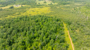 DJI_0544.jpg