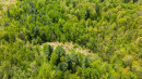 DJI_0547_1.jpg