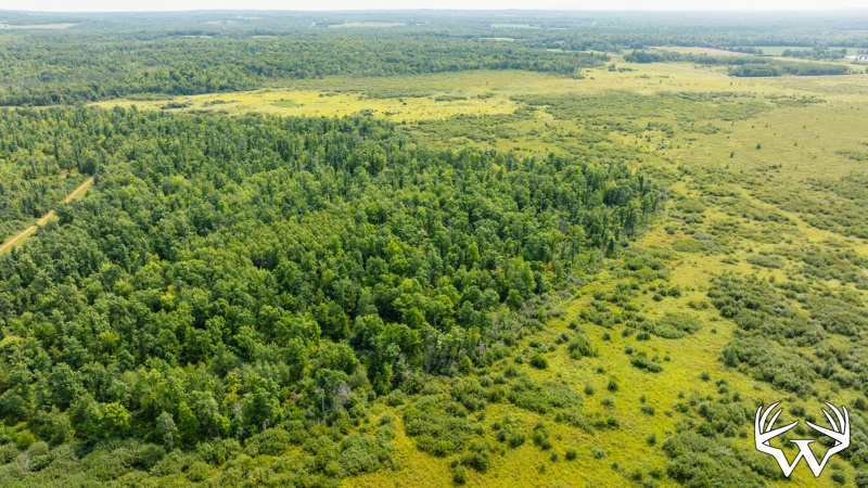 DJI_0549.jpg