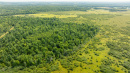 DJI_0549.jpg