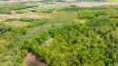 DJI_0550_1.jpg