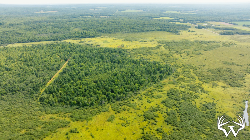 DJI_0552.jpg