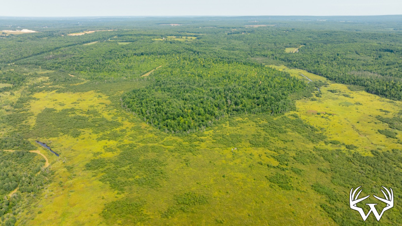 DJI_0555.jpg