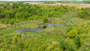 DJI_0556_1.jpg