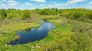 DJI_0557_1.jpg