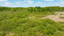 DJI_0559_1.jpg