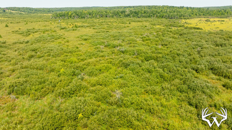 DJI_0561.jpg