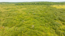 DJI_0561.jpg
