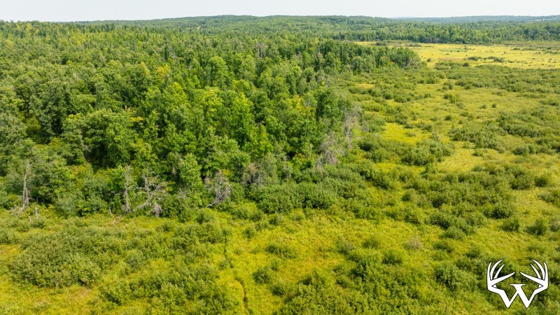 DJI_0566.jpg