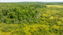 DJI_0566.jpg