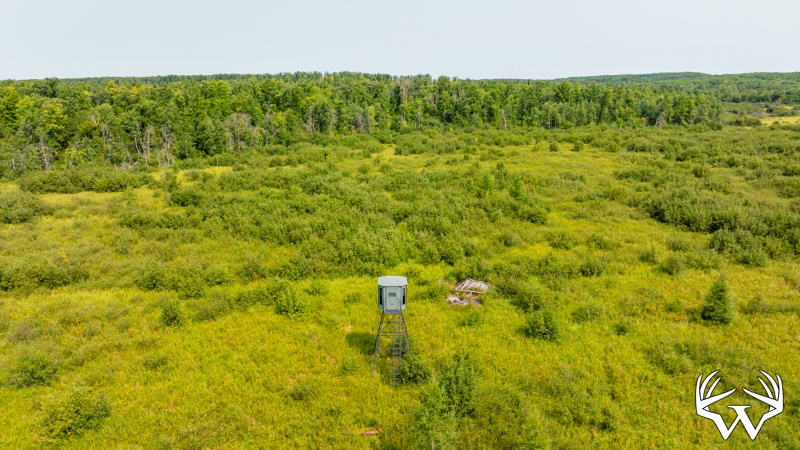 DJI_0567.jpg