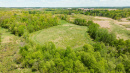 DJI_0569.jpg