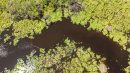 DJI_0570_1.jpg