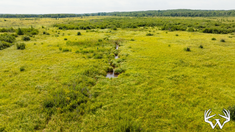 DJI_0570.jpg