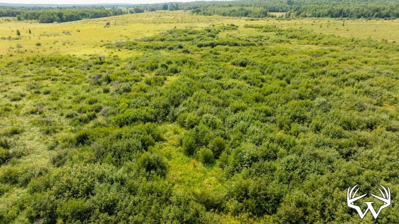 DJI_0573.jpg