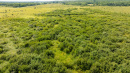 DJI_0573.jpg
