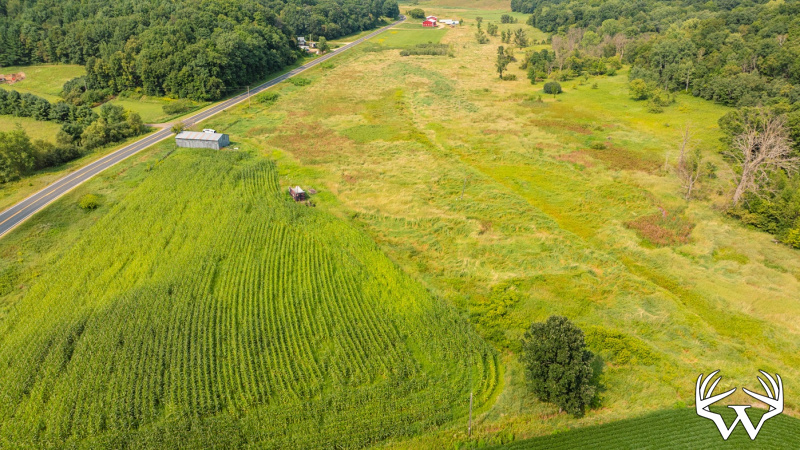 DJI_0577.jpg