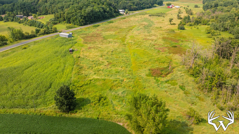 DJI_0578.jpg