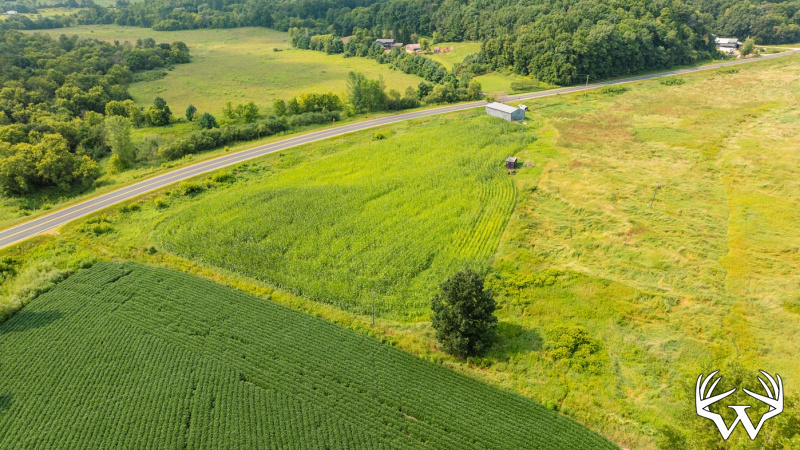 DJI_0579.jpg