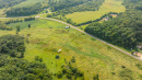 DJI_0584.jpg