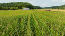 DJI_0594.jpg