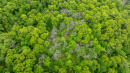 DJI_0602.jpg