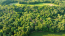DJI_0662.jpg