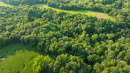 DJI_0664.jpg