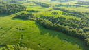 DJI_0665.jpg