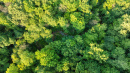 DJI_0667.jpg
