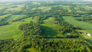 DJI_0682.jpg