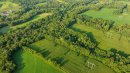 DJI_0684.jpg