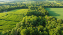 DJI_0688.jpg