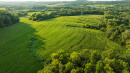 DJI_0690.jpg