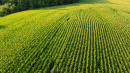 DJI_0693.jpg
