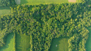 DJI_0699.jpg