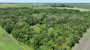 DJI_0702.JPG