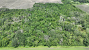 DJI_0705.JPG
