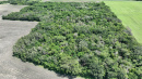 DJI_0707.JPG