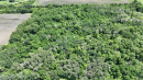 DJI_0710.JPG